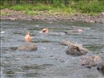 Sweden 2006-07 114